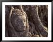 Buddha's Head Encased By Tree, Central Thailand by Rick Strange Limited Edition Print