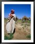 Young Man Herding Camels, Iraq by Jane Sweeney Limited Edition Print