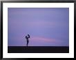 A Mother Holding Up Her Baby Sihouetted Against A Sky At Sunset by Joel Sartore Limited Edition Print