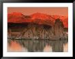 Sunrise, Mono Lake, Ca by Kyle Krause Limited Edition Print