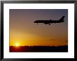 Jet Landing At Sunset, O'hare Airport, Il by Ed Lallo Limited Edition Print