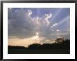 Sunbeams Shine Through The Clouds by Roy Toft Limited Edition Print