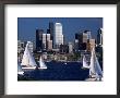 Sailboats And Skyline, Lake Union, Seattle, Wa by Jim Corwin Limited Edition Pricing Art Print