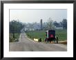 Horse And Buggy On Road, Lancaster, Pa by Scott Berner Limited Edition Print