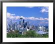 Skyline In The Spring, Seattle, Wa by Mark Windom Limited Edition Print