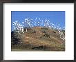 Wind Turbine Generators, Tehachapi, Ca by Mark Gibson Limited Edition Pricing Art Print