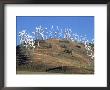 Wind Turbine Generators, Tehachapi, Ca by Mark Gibson Limited Edition Print