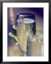 Champagne In Glasses With Ribbon And Bottle Behind by Eric Kamp Limited Edition Print