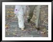 Newly Wed Couple Walk On Street With Flower Petals, Vilnius, Lithuania by Keren Su Limited Edition Print
