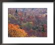 Autumn Color In The Great Smoky Mountains National Park, Tennessee, Usa by William Sutton Limited Edition Print