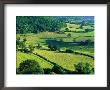 Rolling Countryside by Peter Adams Limited Edition Print