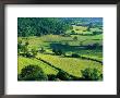 Rolling Countryside by Peter Adams Limited Edition Pricing Art Print