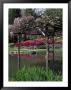 Washington Park Arboretum, Seattle, Wa by Mark Windom Limited Edition Print