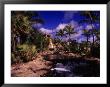 Atlantis Hotel And Resort, Paradise Island by Angelo Cavalli Limited Edition Print