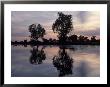 Sunrise, Yellow Water Lagoon, Kakadu, Australia by Michele Burgess Limited Edition Print