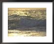 Ocean Wave, Playa Del Carmen, Mexico by Keith Levit Limited Edition Pricing Art Print