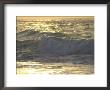 Ocean Wave, Playa Del Carmen, Mexico by Keith Levit Limited Edition Print