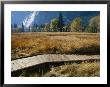 A Boardwalk Crosses A Dry Meadow In Yosemite Valley by Marc Moritsch Limited Edition Print