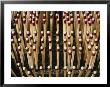 Close View Of Matches Arranged Like Nails On A Bed by Ira Block Limited Edition Print