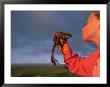 A Young Girl Plays Out A Fairy Tale As She Gets Ready To Kiss A Frog by Joel Sartore Limited Edition Print