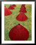 Rice Paper Umbrellas On Grass, Gifu, Japan by Martin Moos Limited Edition Print