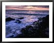 Giants Causeway Ancient Rock Formation, Antrim, Northern Ireland by Gareth Mccormack Limited Edition Print