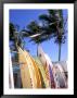 Surfboards, Grand Cul De Sac, St Bart's by Bill Bachmann Limited Edition Print