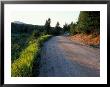 Dirt Road Through The Boreal Forest, Northern Forest, Vermont, Usa by Jerry & Marcy Monkman Limited Edition Print