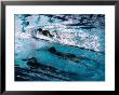 Doing Laps At Cook And Phillip Swimming Pool, Sydney, Australia by Greg Elms Limited Edition Pricing Art Print