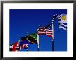 Flags Of Many Countries Fly Over The United Nations Building, New York City, New York, Usa by Greg Gawlowski Limited Edition Print