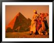 Camel And Driver Resting Near The Great Pyramids, Egypt by Alexander Nesbitt Limited Edition Print