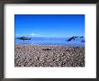 Sand Beach, Kyrgyzstan by Martin Moos Limited Edition Pricing Art Print