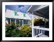 A View Of Loyalist Homes And Gardens In Dunmore Town, Dunmore Town, Harbour Island, Bahamas by Greg Johnston Limited Edition Print