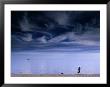 Jogger And Dog At South Melbourne Beach Before Storm, Melbourne, Australia by Regis Martin Limited Edition Print