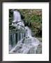 A Waterfall In The Woods by Stephen Alvarez Limited Edition Pricing Art Print