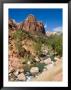 One Of The Patriarchs Looks Over The Zion River Tumbling Over Rocks by Taylor S. Kennedy Limited Edition Print
