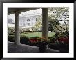 View Of The Rose Garden From The White House by Joseph H. Bailey Limited Edition Pricing Art Print