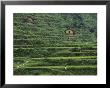Yang River Canyon, Shaoguan Area, Guangdong Province, China by Raymond Gehman Limited Edition Print