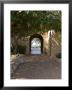 Archway To Pool At Tierra Del Sol Golf Club And Spa, Aruba, Caribbean by Lisa S. Engelbrecht Limited Edition Print