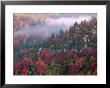 Blackwater Canyon, Wv by Robert Finken Limited Edition Print