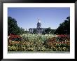 State Capitol And Civic Center Park, Denver, Co by Ron Ruhoff Limited Edition Print