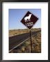 Coyote Crossing Street Sign On Desert Road by Yvette Cardozo Limited Edition Print