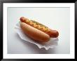 Hot Dog In Bun With Mustard by Howard Sokol Limited Edition Pricing Art Print