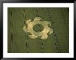 Crop Circle, Danebury, Hampshire, England by Ron Russell Limited Edition Print
