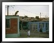 A Dog Watches Passersby From The Roof Of An Arica House by Joel Sartore Limited Edition Print
