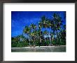 One Of Many Palm Fringed Beaches On Tindare Island, Togos Os Santos Bay, Itaparica, Brazil by Manfred Gottschalk Limited Edition Print