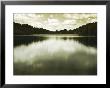 Water Reflecting Bordering Trees And Sky by Jan Lakey Limited Edition Print