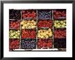 Various Berries by Martina Meuth Limited Edition Print