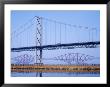 Firth Of Forth Bridges, 1964 Road Suspension Bridge, 1890 Rail Bridge, Scotland, Uk by Anthony Waltham Limited Edition Print