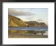 Minaun Cliffs From Keel Beach, Achill Island, County Mayo, Connacht, Republic Of Ireland (Eire) by Gary Cook Limited Edition Print